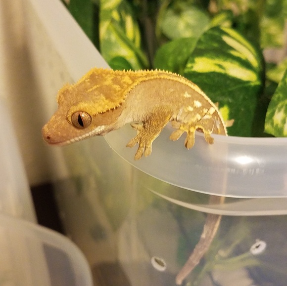 Meet your Posher, Alex - Picture 6 of 6